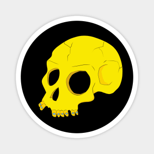 Skull Magnet